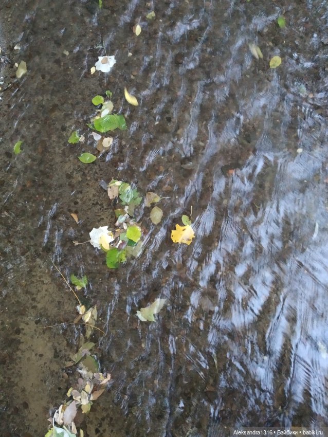 Уж небо осенью дышало🍂🍁🌾 — Разные шарнирные куклы (не БЖД): редкие