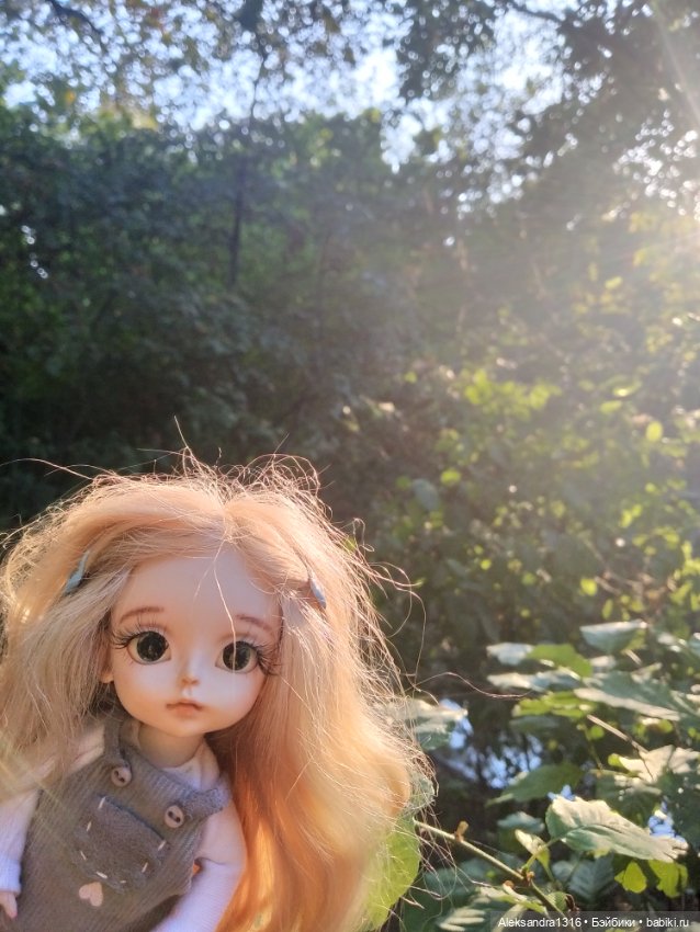 Уж небо осенью дышало🍂🍁🌾 — Разные шарнирные куклы (не БЖД): редкие