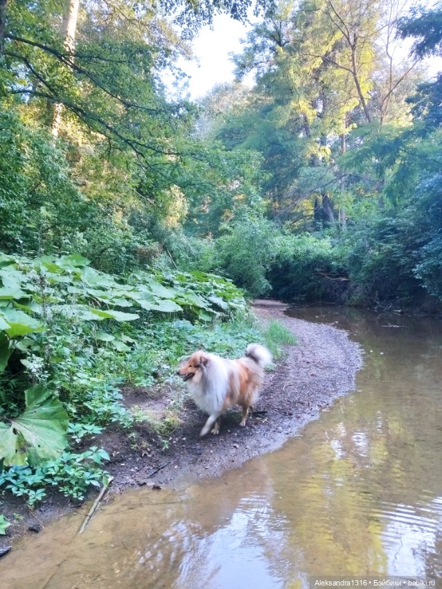 Уж небо осенью дышало🍂🍁🌾 — Разные шарнирные куклы (не БЖД): редкие