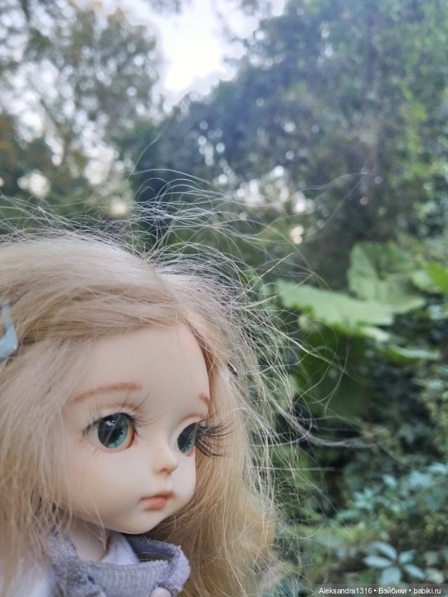 Уж небо осенью дышало🍂🍁🌾 — Разные шарнирные куклы (не БЖД): редкие