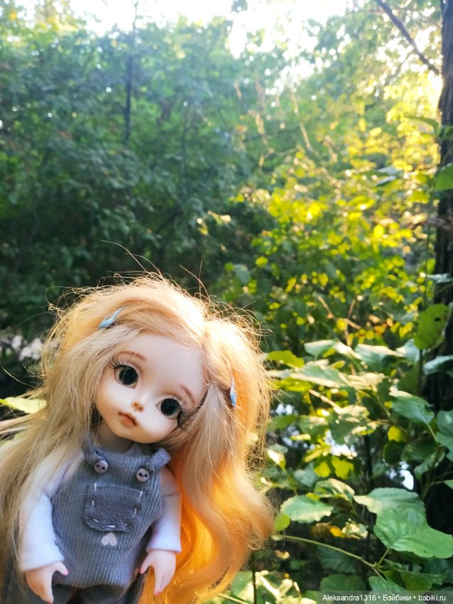 Уж небо осенью дышало🍂🍁🌾 — Разные шарнирные куклы (не БЖД): редкие