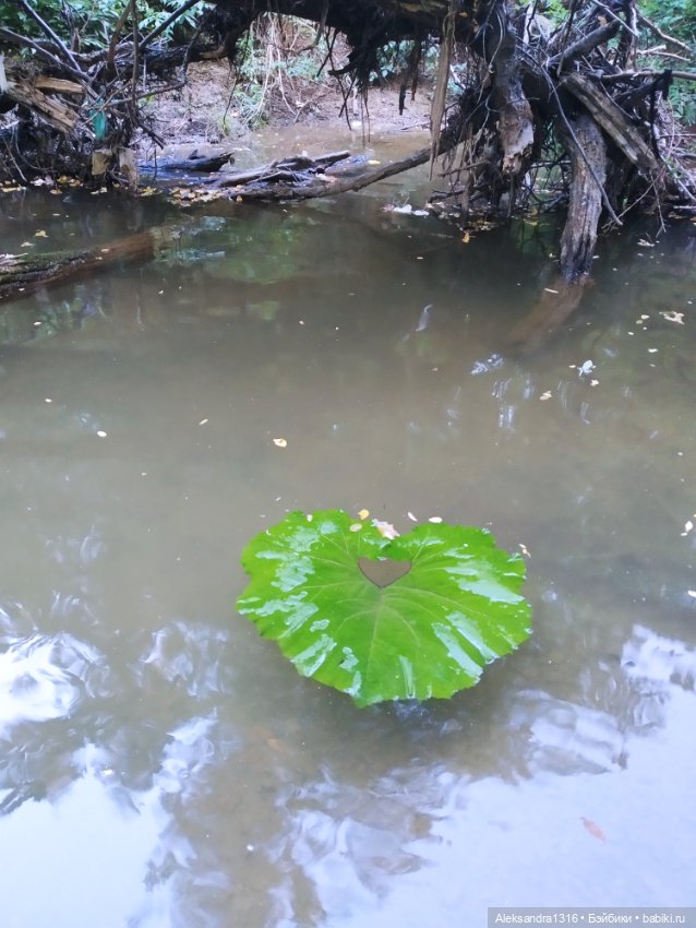 Уж небо осенью дышало🍂🍁🌾 — Разные шарнирные куклы (не БЖД): редкие
