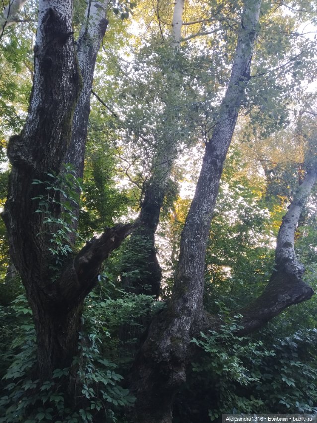 Уж небо осенью дышало🍂🍁🌾 — Разные шарнирные куклы (не БЖД): редкие