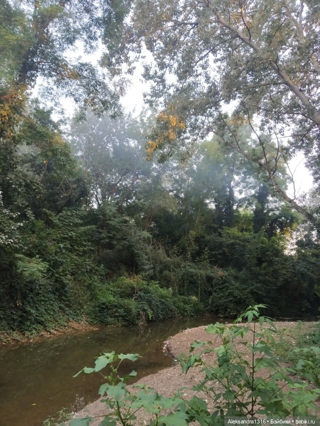 Уж небо осенью дышало🍂🍁🌾 — Разные шарнирные куклы (не БЖД): редкие