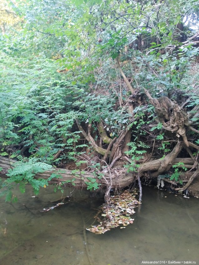 Уж небо осенью дышало🍂🍁🌾 — Разные шарнирные куклы (не БЖД): редкие (фото 7)