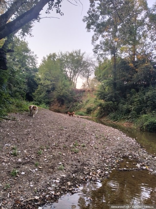 Уж небо осенью дышало🍂🍁🌾 — Разные шарнирные куклы (не БЖД): редкие
