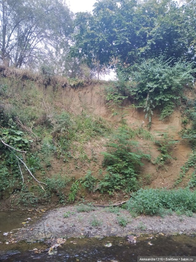 Уж небо осенью дышало🍂🍁🌾 — Разные шарнирные куклы (не БЖД): редкие