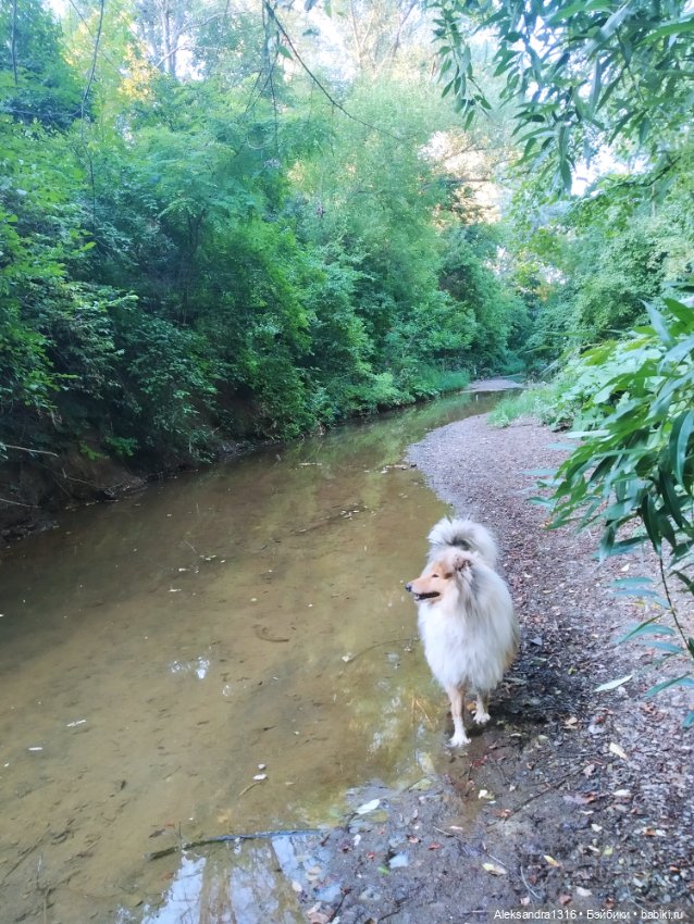 Уж небо осенью дышало🍂🍁🌾 — Разные шарнирные куклы (не БЖД): редкие