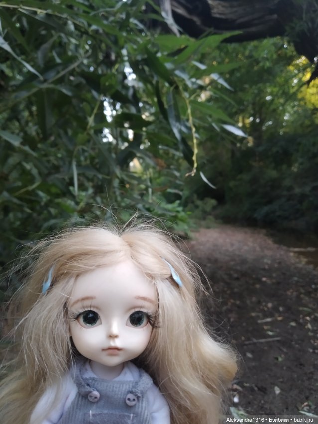 Уж небо осенью дышало🍂🍁🌾 — Разные шарнирные куклы (не БЖД): редкие