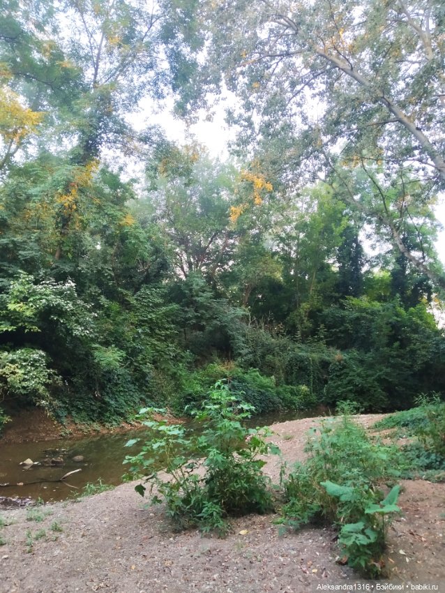 Уж небо осенью дышало🍂🍁🌾 — Разные шарнирные куклы (не БЖД): редкие