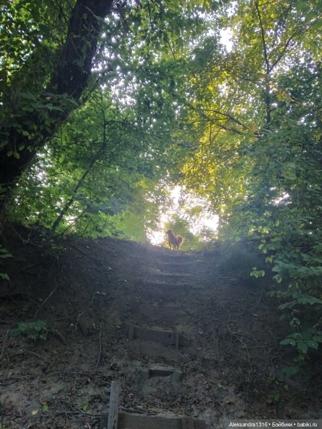 Уж небо осенью дышало🍂🍁🌾 — Разные шарнирные куклы (не БЖД): редкие