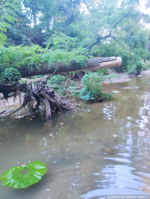 Уж небо осенью дышало🍂🍁🌾 — Разные шарнирные куклы (не БЖД): редкие