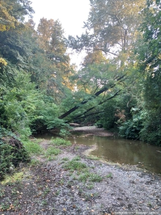 Уж небо осенью дышало🍂🍁🌾 — Разные шарнирные куклы (не БЖД): редкие (фото 9)