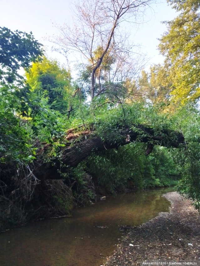 Уж небо осенью дышало🍂🍁🌾 — Разные шарнирные куклы (не БЖД): редкие