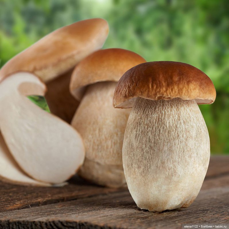 Шляпка белого гриба — Одежда и обувь для кукол своими руками: фото