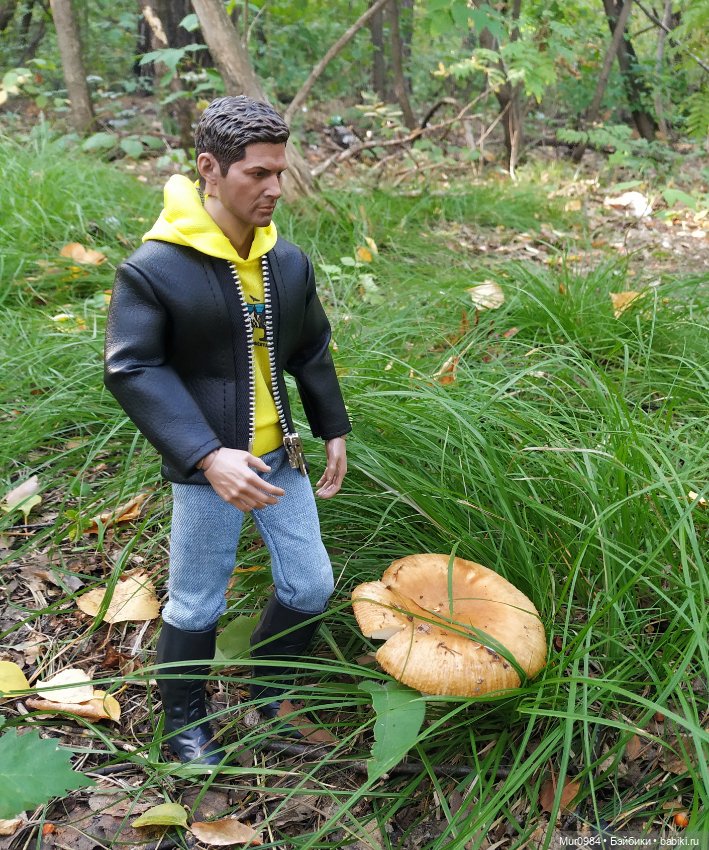 Приезд Дженса — Коллекционные экшн