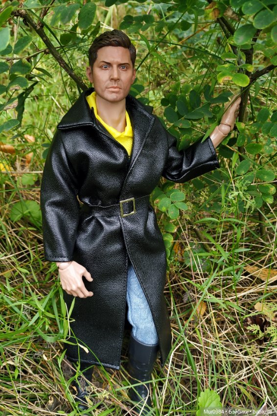 Приезд Дженса — Коллекционные экшн