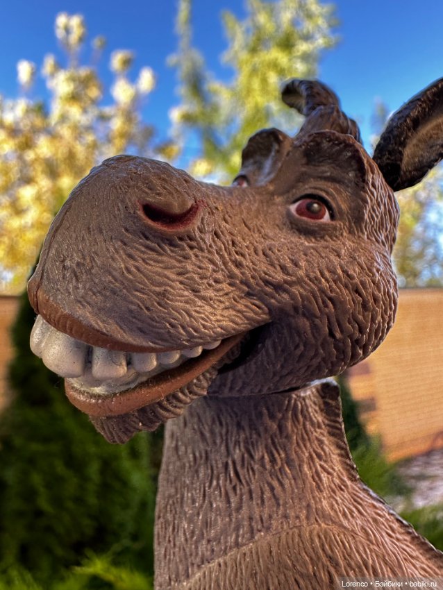 Диана Керпактер-Кропоткина Пиклз (Диди) (фото 6)