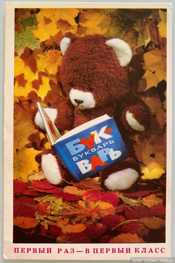 Здравствуй, школа — Интересное и необычное: фотоподборки (фото 2)