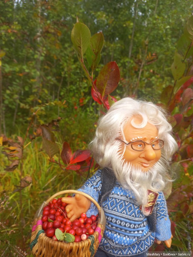 Веселые картинки. Как Иваныч по ягоды ходил (фото 9)