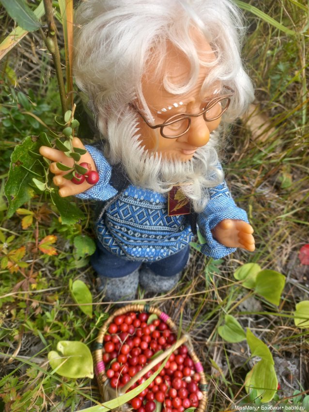 Веселые картинки. Как Иваныч по ягоды ходил