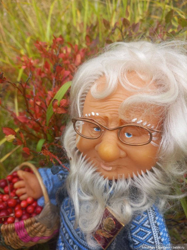 Веселые картинки. Как Иваныч по ягоды ходил (фото 3)