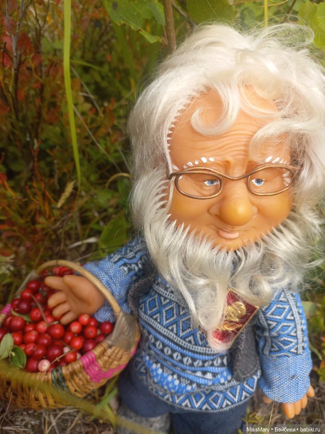 Веселые картинки. Как Иваныч по ягоды ходил