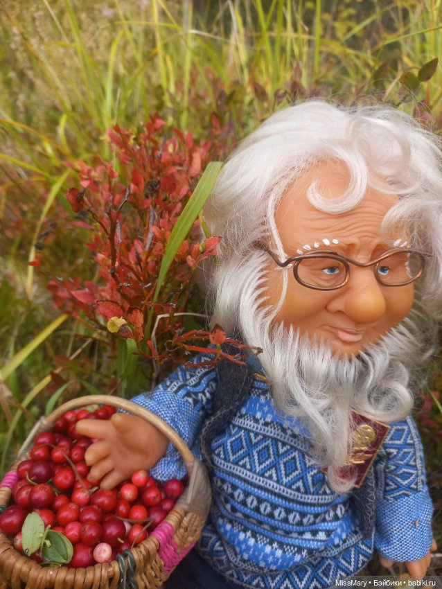 Веселые картинки. Как Иваныч по ягоды ходил