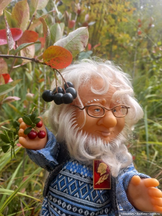 Веселые картинки. Как Иваныч по ягоды ходил