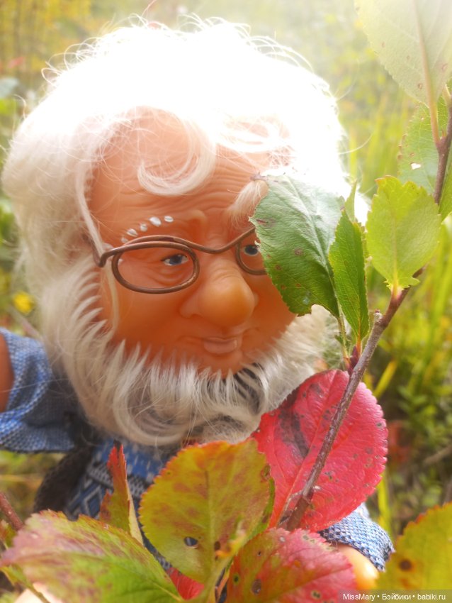 Веселые картинки. Как Иваныч по ягоды ходил (фото 5)