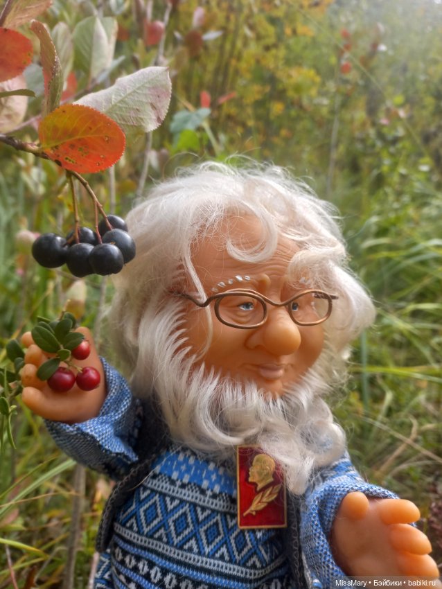 Веселые картинки. Как Иваныч по ягоды ходил (фото 4)