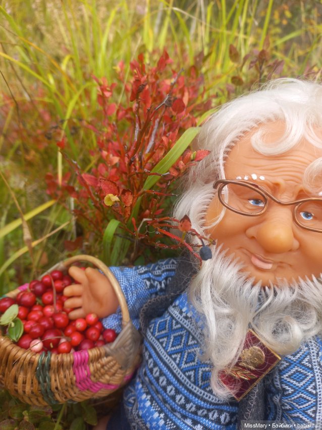 Веселые картинки. Как Иваныч по ягоды ходил
