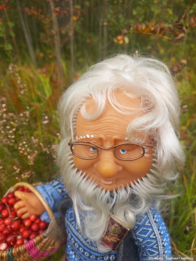 Веселые картинки. Как Иваныч по ягоды ходил (фото 10)