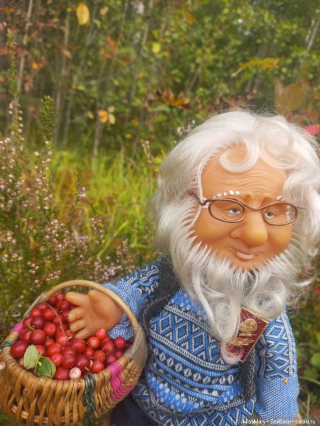 Веселые картинки. Как Иваныч по ягоды ходил