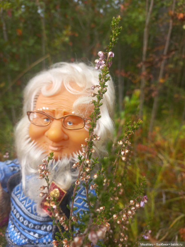 Веселые картинки. Как Иваныч по ягоды ходил