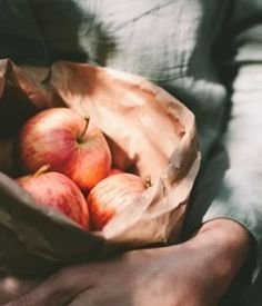 Августовский коттеджкор — Культура (фото 4)