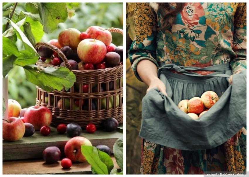 Августовский коттеджкор — Культура