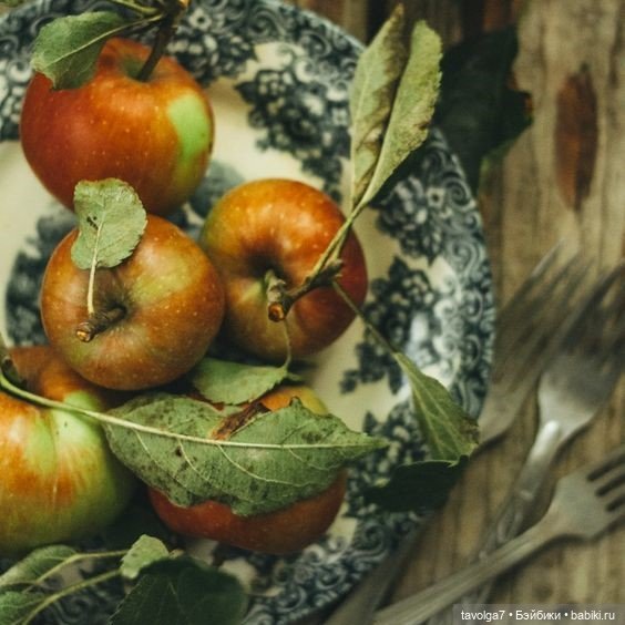 Августовский коттеджкор — Культура (фото 5)