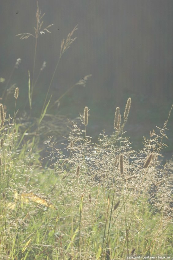 Мишка Оделись и пошли гулять Пойдём с нами