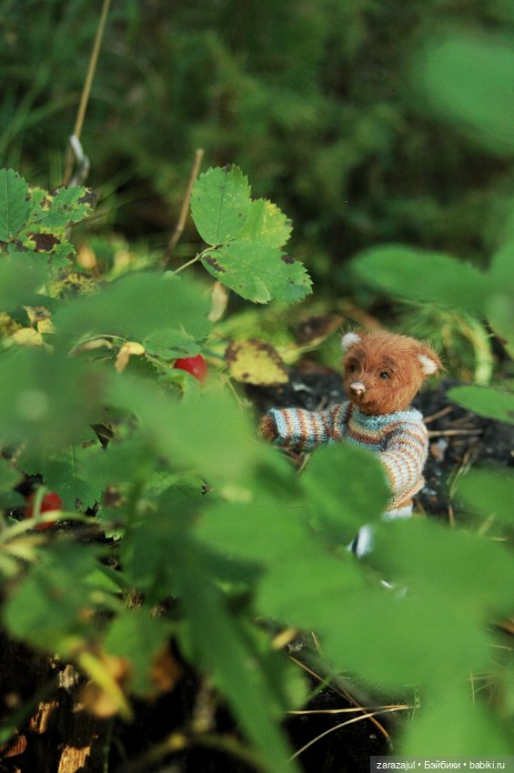 Мишка Оделись и пошли гулять Пойдём с нами (фото 7)