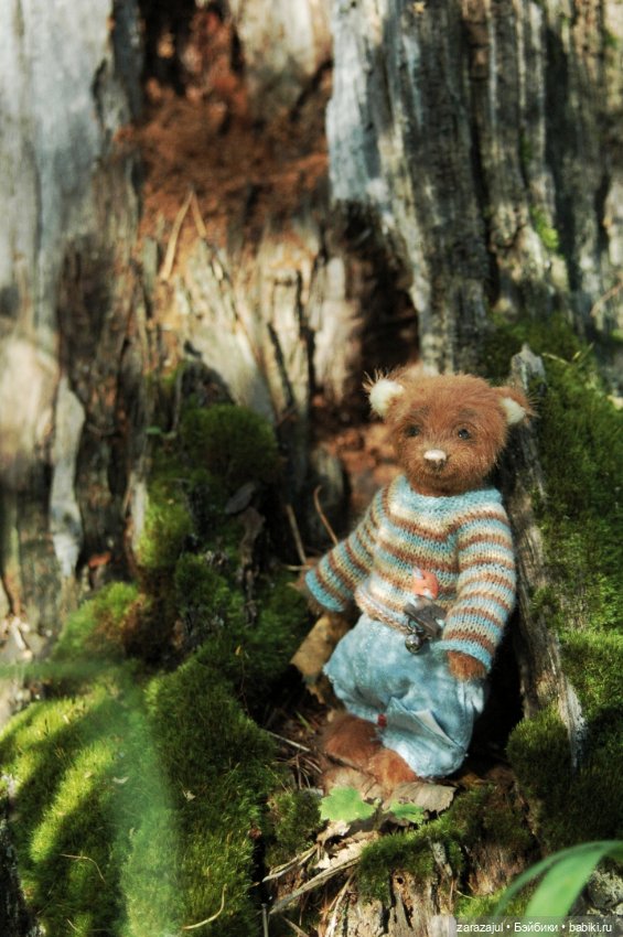 Мишка Оделись и пошли гулять Пойдём с нами (фото 6)