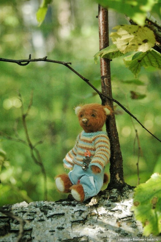 Мишка Оделись и пошли гулять Пойдём с нами (фото 4)