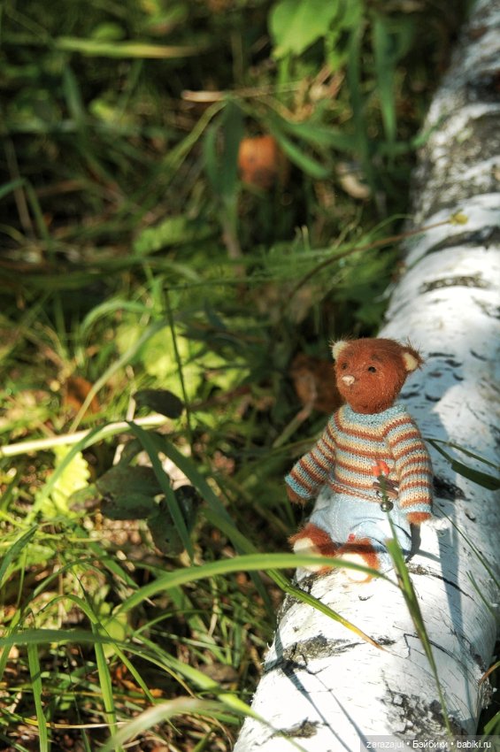 Мишка Оделись и пошли гулять Пойдём с нами