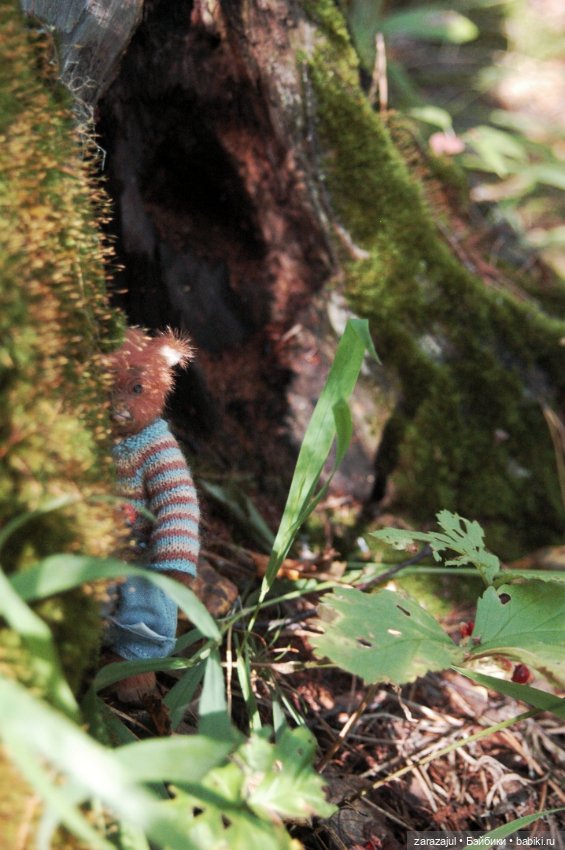 Мишка Оделись и пошли гулять Пойдём с нами (фото 5)