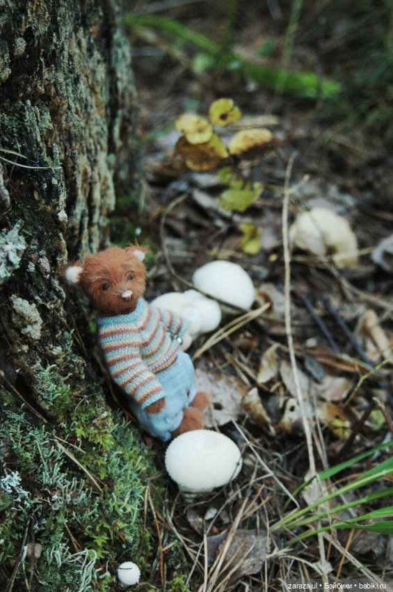 Мишка Оделись и пошли гулять Пойдём с нами (фото 10)