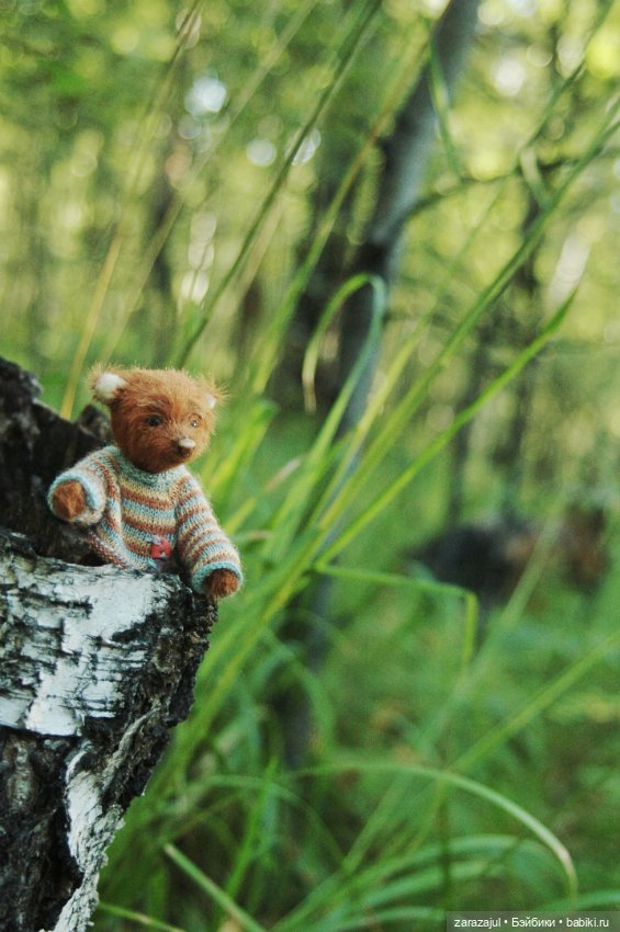 Мишка Оделись и пошли гулять Пойдём с нами