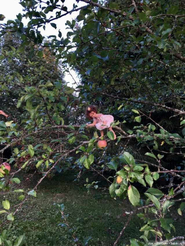 Прелестный розовый цветок от Gabriele Muller