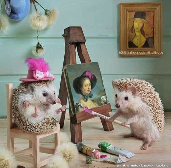 Тайная жизнь ёжиков - приподнимем завесу! 100% позитива