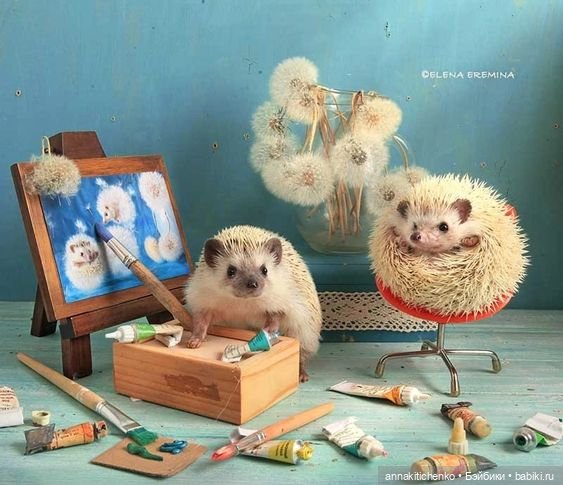 Тайная жизнь ёжиков - приподнимем завесу! 100% позитива (фото 4)