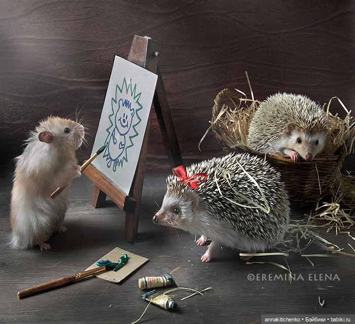 Тайная жизнь ёжиков - приподнимем завесу! 100% позитива